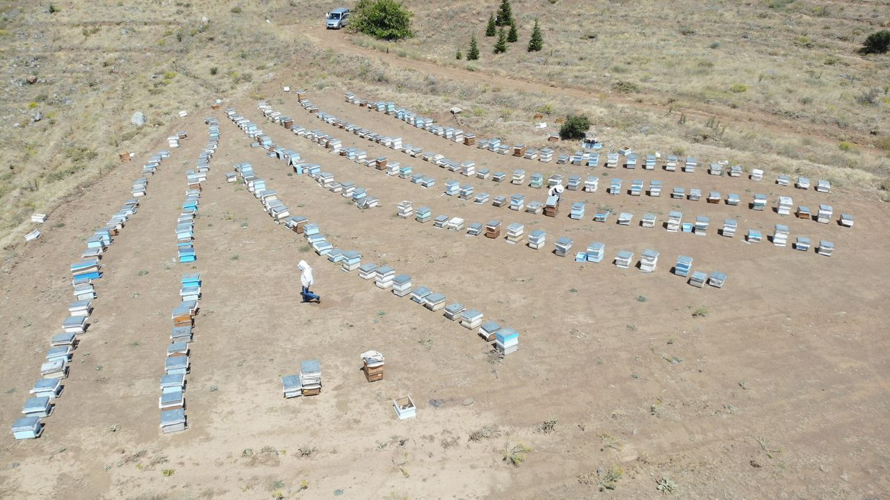 İklim değişikliği florayı etkiledi, arıcılar mağdur oldu - Sayfa 14