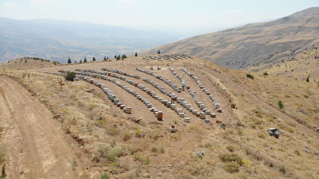 İklim değişikliği florayı etkiledi, arıcılar mağdur oldu - Sayfa 15