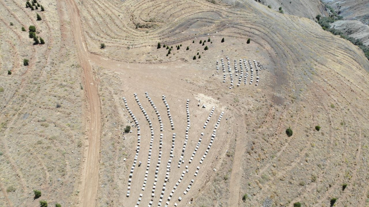 İklim değişikliği florayı etkiledi, arıcılar mağdur oldu - Sayfa 16