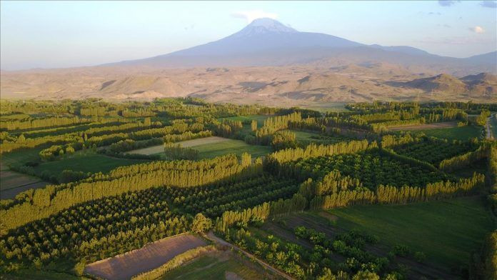 Güneşin ilk doğduğu şehir olan Iğdır’da gezilecek yerler ve yöresel lezzetler… - Sayfa 6