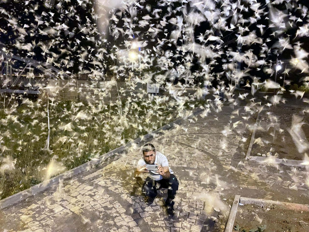 Ardahan'da vatandaşlar mayıs sineklerinin ölüm uçuşunu izledi - Sayfa 8