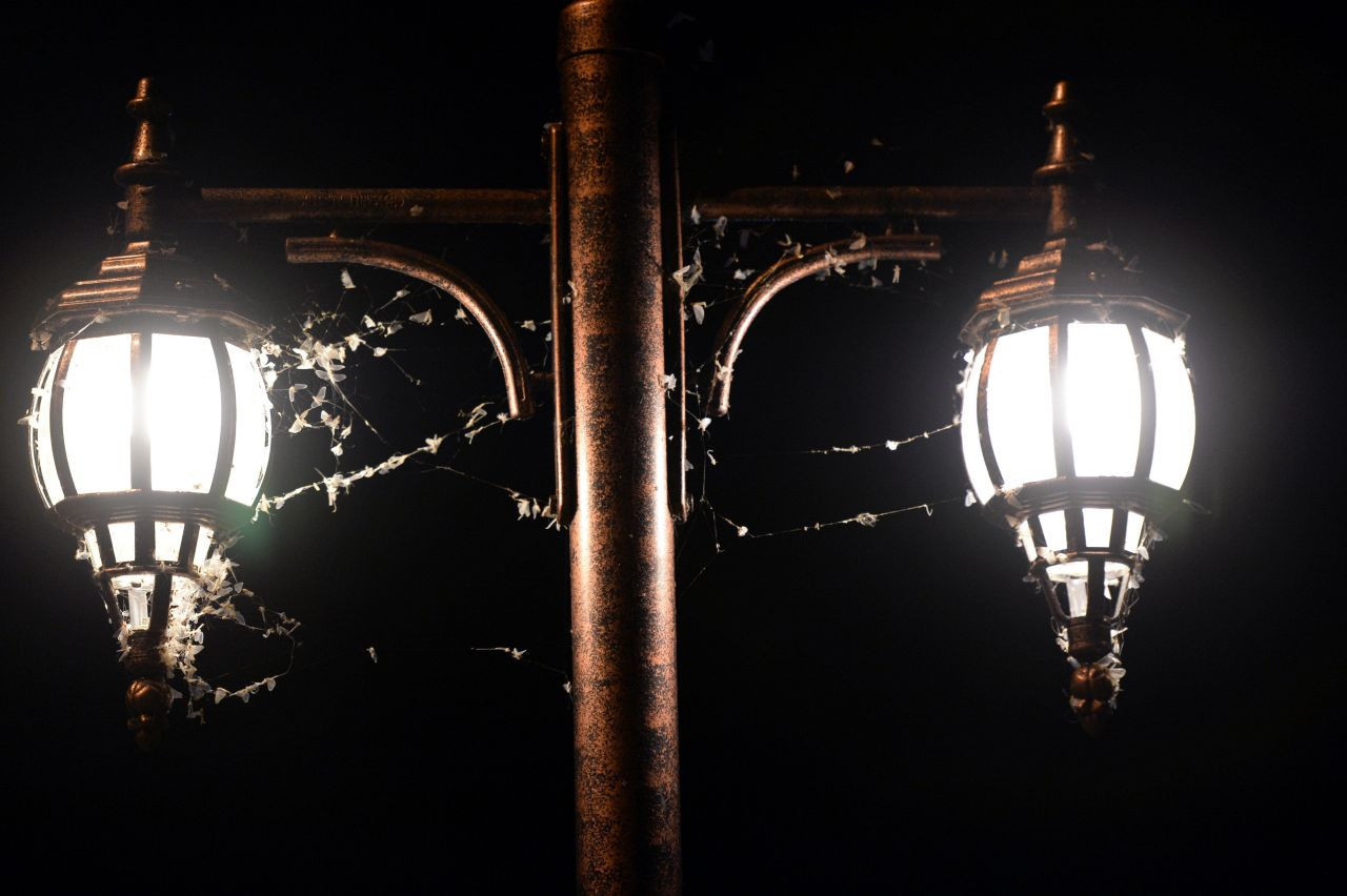 Ardahan'da vatandaşlar mayıs sineklerinin ölüm uçuşunu izledi - Sayfa 14