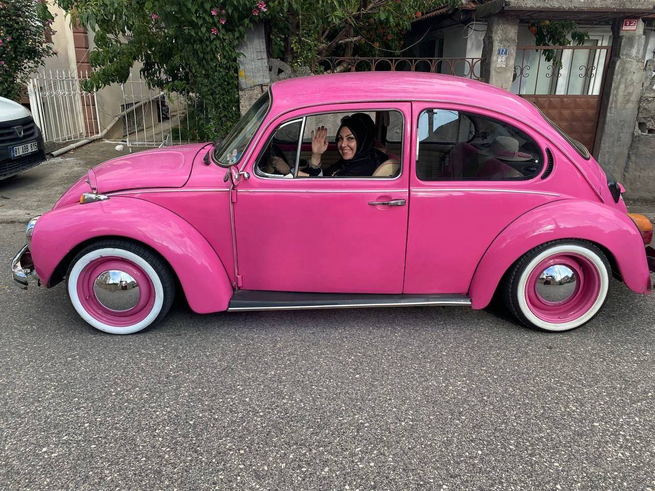 Doğa ve klasik araç tutkusu bunu da yaptırdı! Onunkisi 'Pembe Aşk' - Sayfa 6