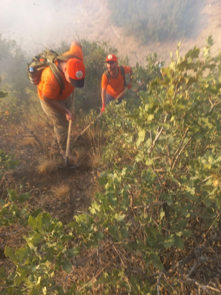 Manisa, Elazığ ve Tunceli'de orman yangını! Alevlerle mücadele ediliyor - Sayfa 6