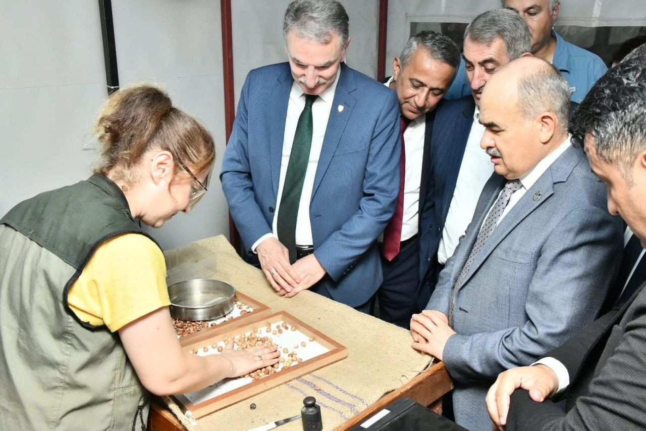 Samsun’da sezonun ilk fındığı Toprak Mahsulleri Ofisi'ne kilosu 56 liradan satıldı - Sayfa 5