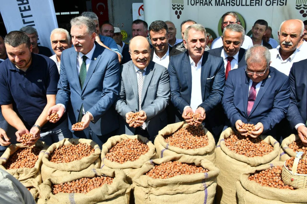 Samsun’da sezonun ilk fındığı Toprak Mahsulleri Ofisi'ne kilosu 56 liradan satıldı - Sayfa 7