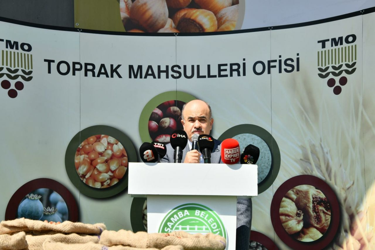 Samsun’da sezonun ilk fındığı Toprak Mahsulleri Ofisi'ne kilosu 56 liradan satıldı - Sayfa 8