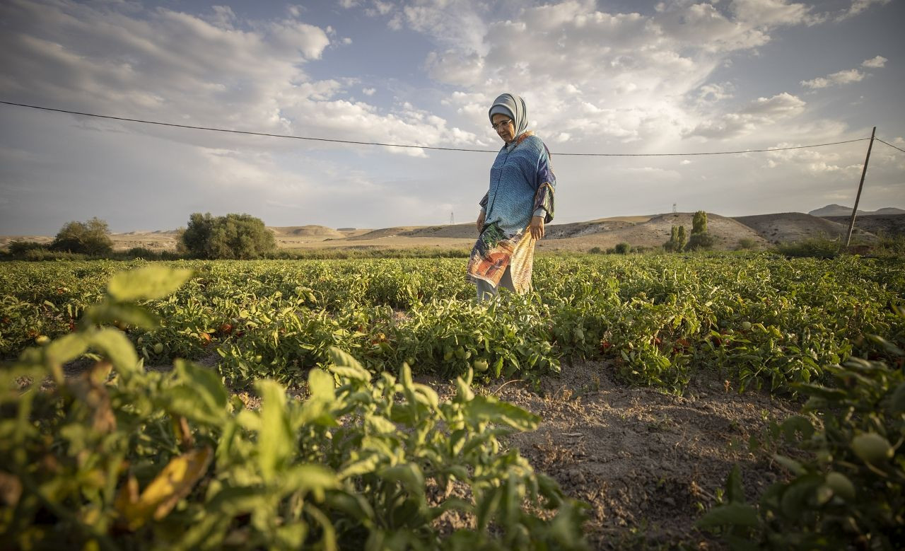 Emine Erdoğan tarlada kadın çiftçilerle domates toplayıp kışlık menemen yaptı - Sayfa 6