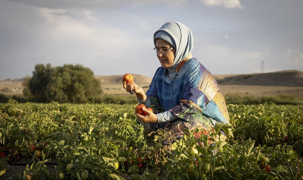 Emine Erdoğan tarlada kadın çiftçilerle domates toplayıp kışlık menemen yaptı - Sayfa 9