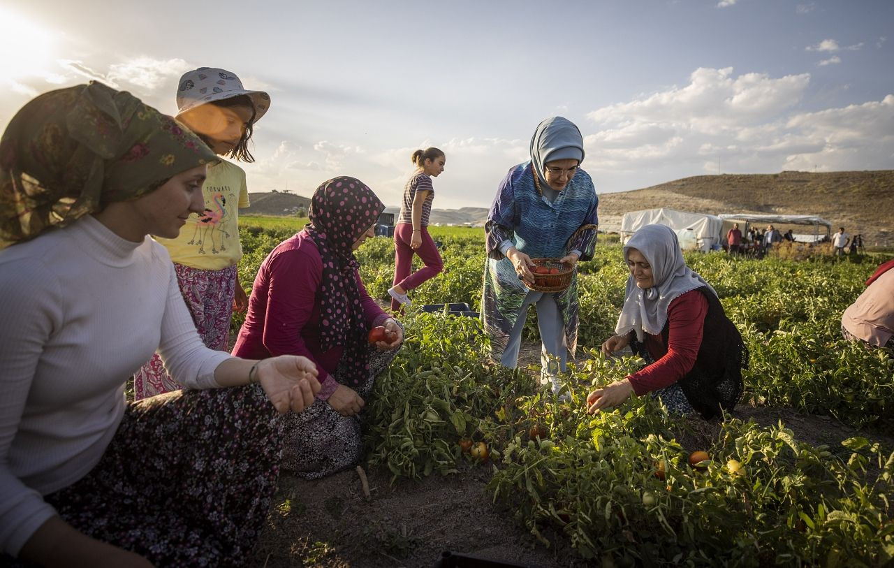 Emine Erdoğan tarlada kadın çiftçilerle domates toplayıp kışlık menemen yaptı - Sayfa 12