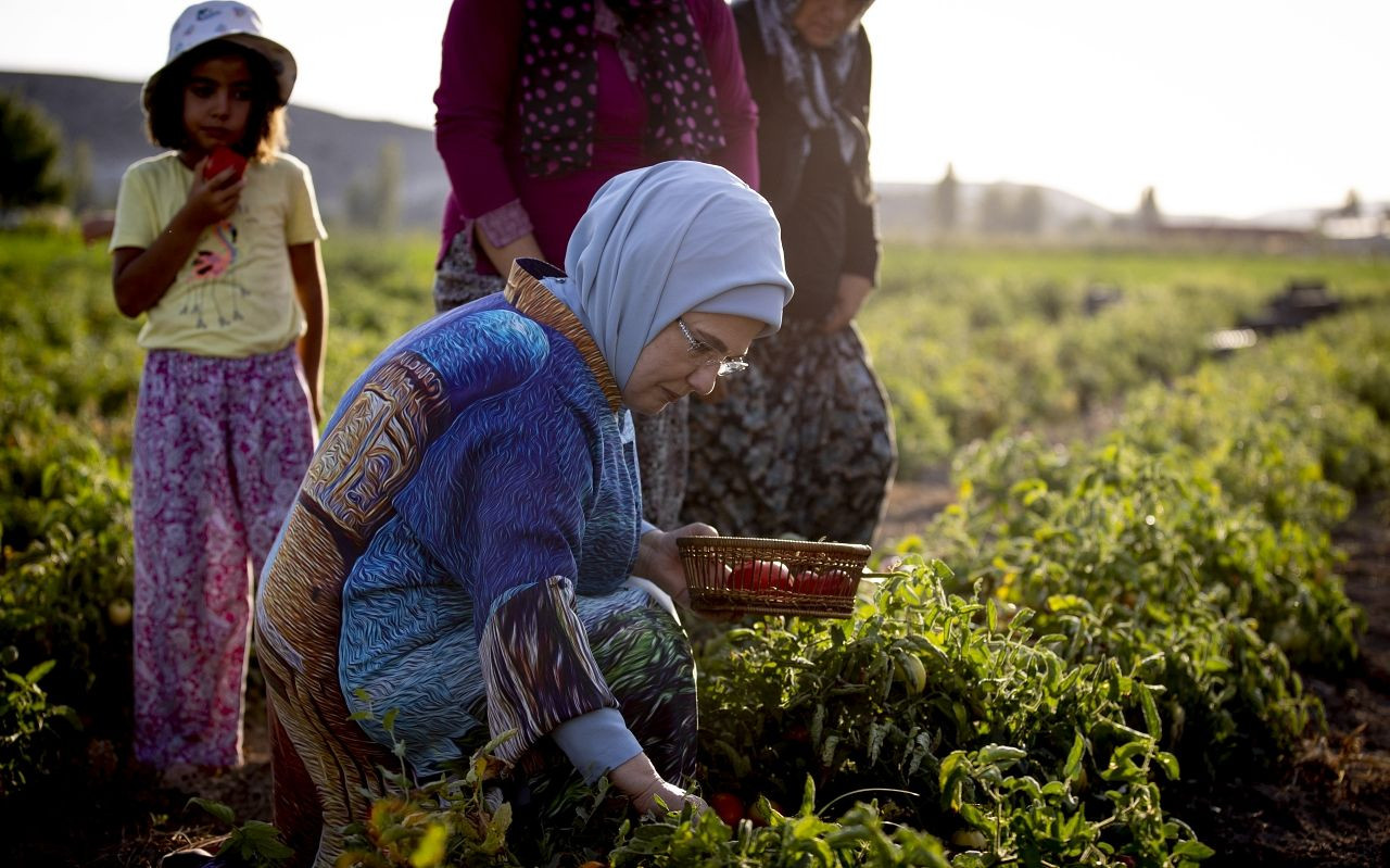 Emine Erdoğan tarlada kadın çiftçilerle domates toplayıp kışlık menemen yaptı - Sayfa 14