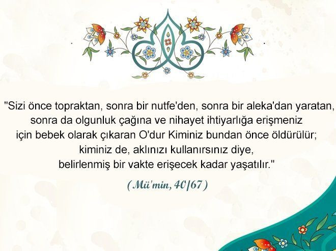 Kur'an-ı Kerim’de insanlara yol gösteren 20 ayet - Sayfa 19