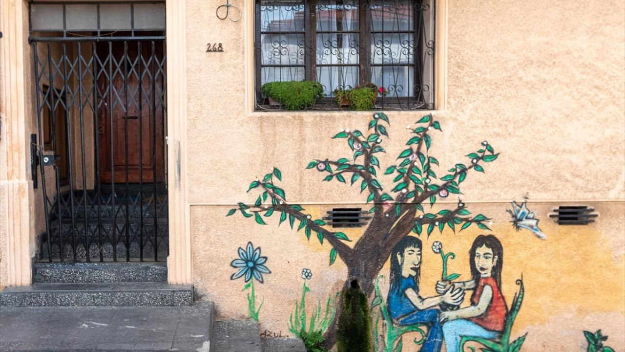 Şili’nin Valparaiso şehrinde sanat sokaklara yansıdı - Sayfa 8