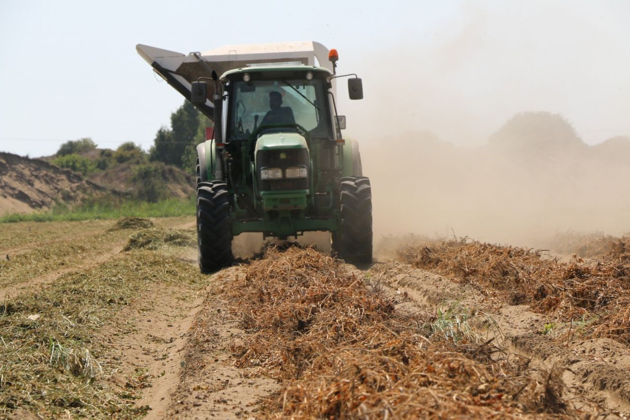 Adana’da hasadı başlayan yer fıstığı, Türkiye'deki yer fıstığı üretiminin yarısını karşılıyor - Sayfa 6