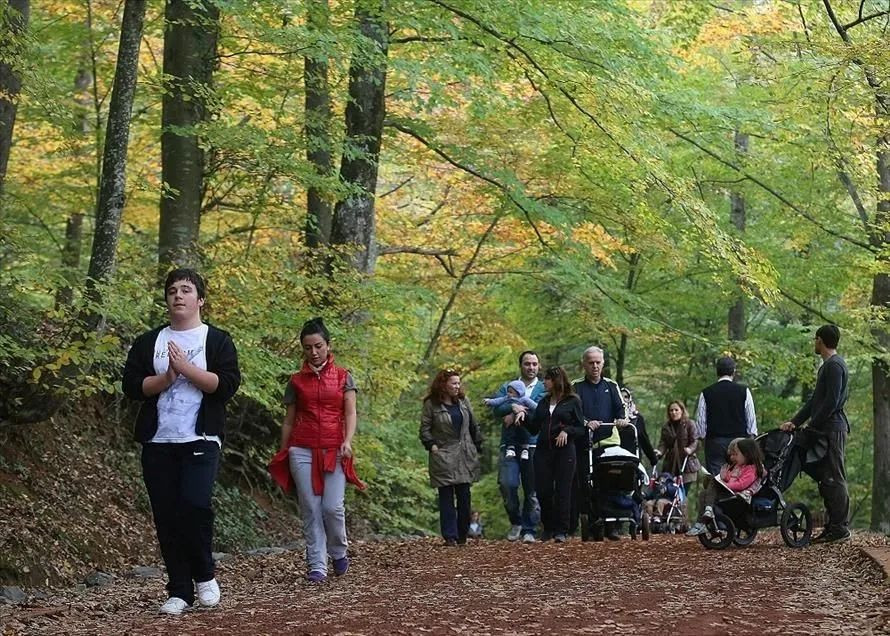 İçişleri Bakanlığı'ndan 81 ile genelge: Ormanlara giriş yasağı kaldırıldı! - Sayfa 5