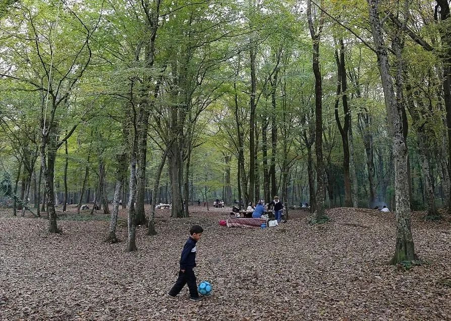 İçişleri Bakanlığı'ndan 81 ile genelge: Ormanlara giriş yasağı kaldırıldı! - Sayfa 6