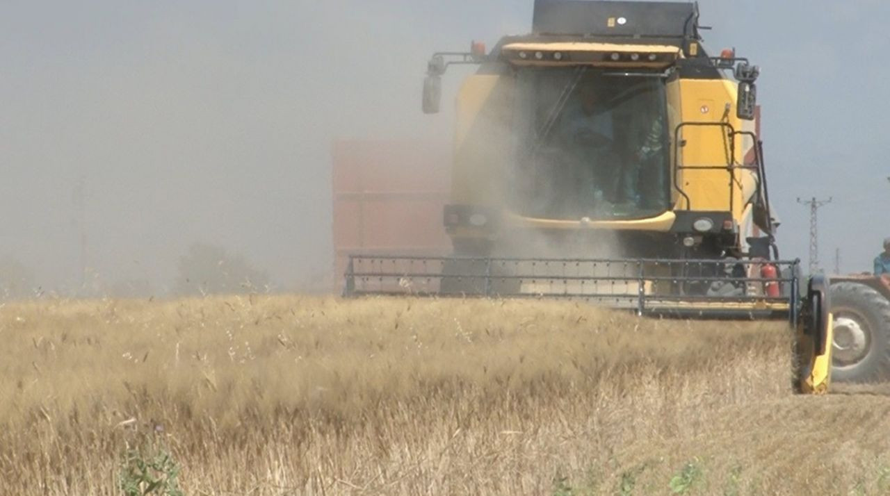 Konya Ovası’nda yağışlar sonrası buğday ve arpada rekolte artışı oldu - Sayfa 5