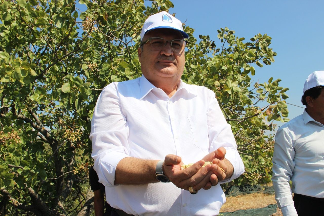 Manisa’da üretilen Antep fıstığından 150 milyon TL gelir elde edildi, yüksek verim ve rekolte çiftçilerin yüzünü güldürdü - Sayfa 7