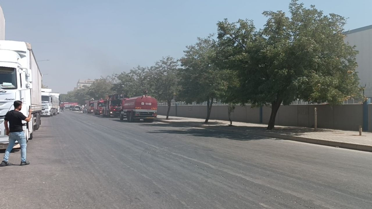 İHA muhabirinin canlı yayında zor anları: Önce dövdüler sonra gasp ettiler! - Sayfa 5