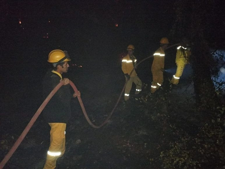 Muğla'nın Ula ilçesinde orman yangını! Rüzgar etkisini artırdı... Yerleşim yerleri tehdit altında... - Sayfa 5