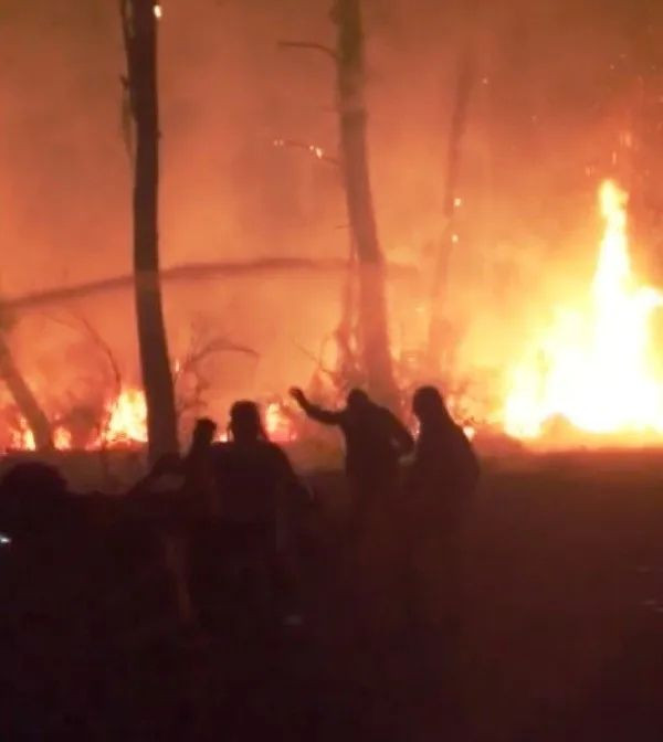 Muğla'nın Ula ilçesinde orman yangını! Rüzgar etkisini artırdı... Yerleşim yerleri tehdit altında... - Sayfa 6