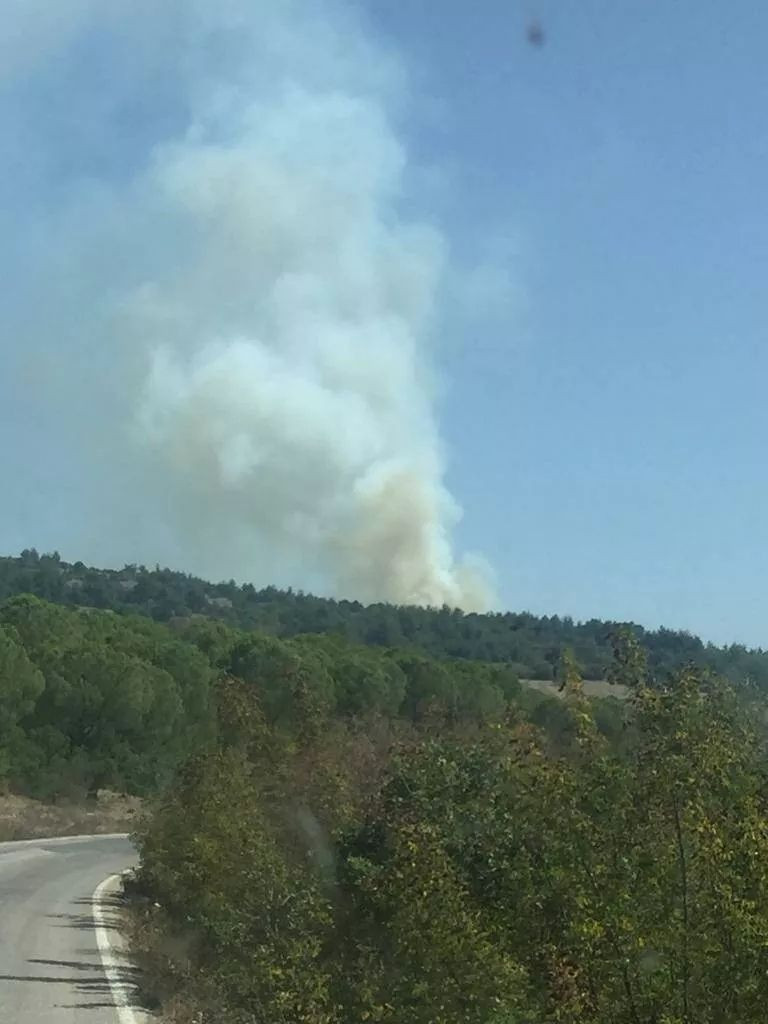 Balıkesir'de orman yangını: Havadan ve karadan müdahale ediliyor! - Sayfa 5