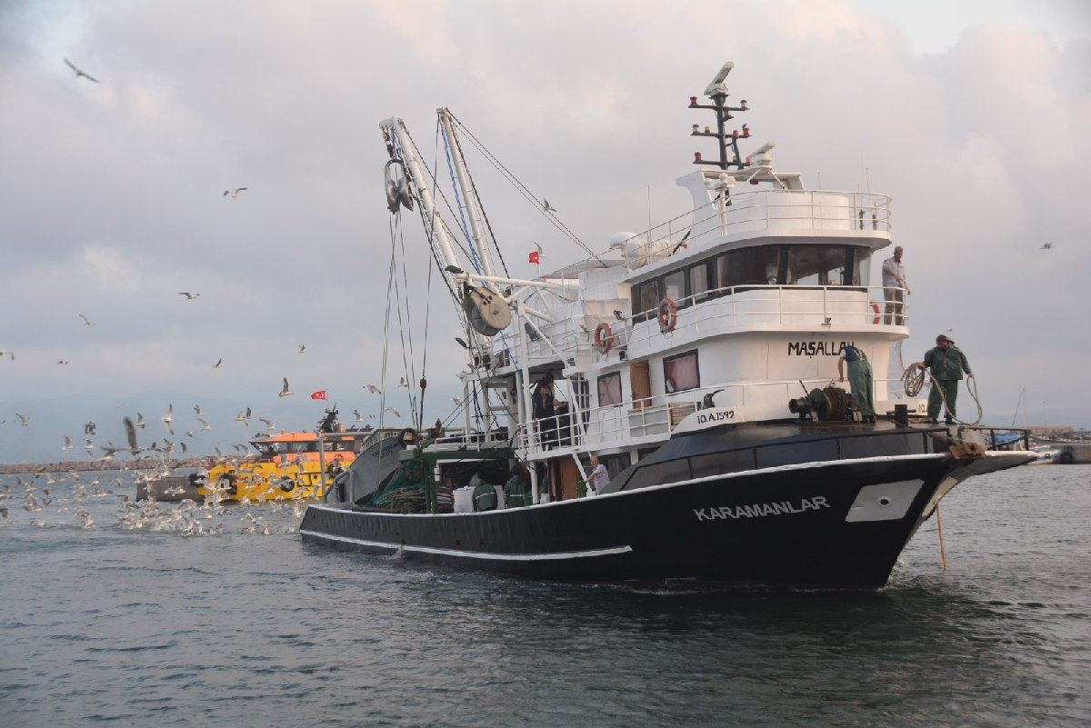 Balıkçılara üzücü haber! Ülkemizde avlanan balık miktarı 20 yılda yüzde 50 azaldı! - Sayfa 5