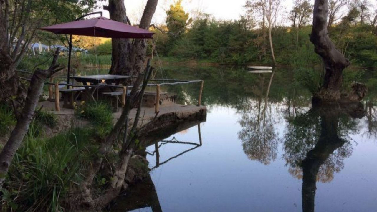 Yemyeşil doğası ve masmavi deniziyle Şile piknik alanları! Şile’de en iyi piknik alanları neresidir? - Sayfa 5