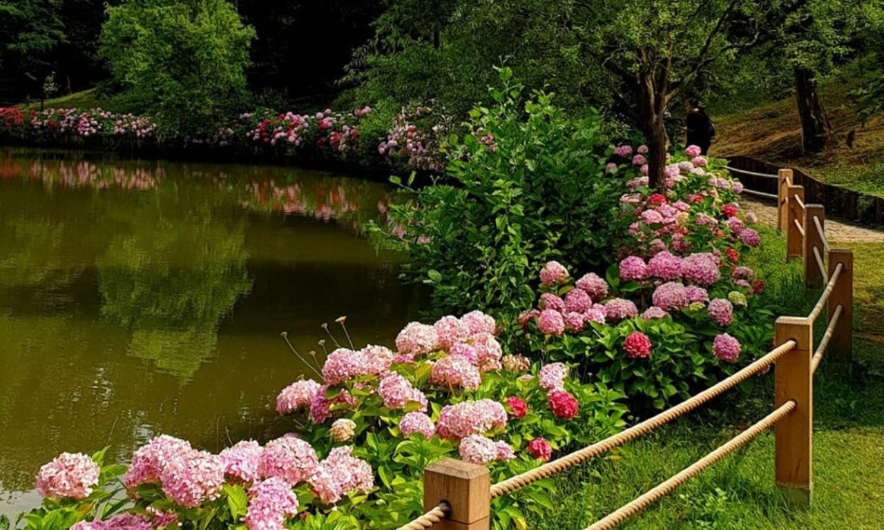Sonbahar’ın en güzel renkleri: Atatürk Arboretumu - Sayfa 7