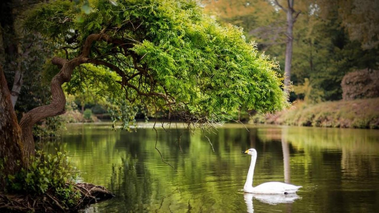 Sonbahar’ın en güzel renkleri: Atatürk Arboretumu - Sayfa 5
