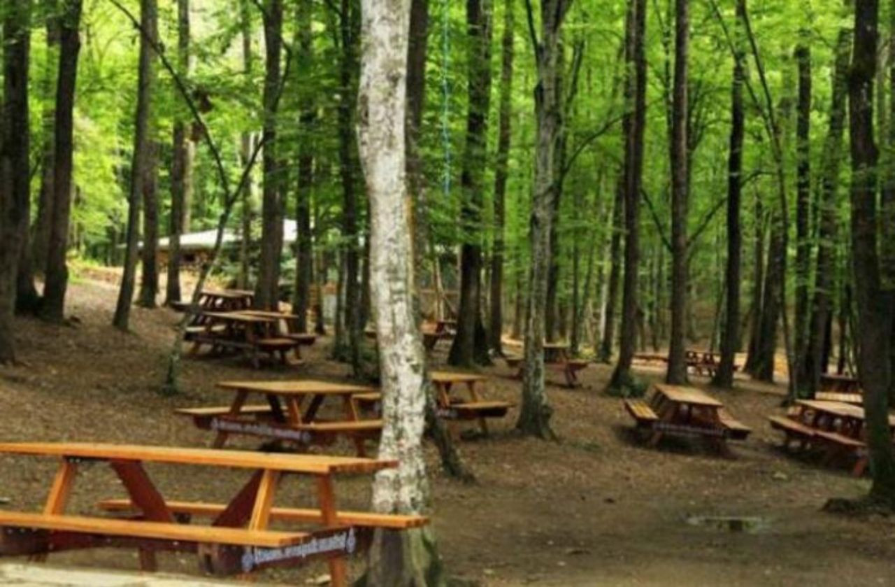 Çatalca piknik alanları! Çatalca’da en iyi piknik alanları neresidir? - Sayfa 5