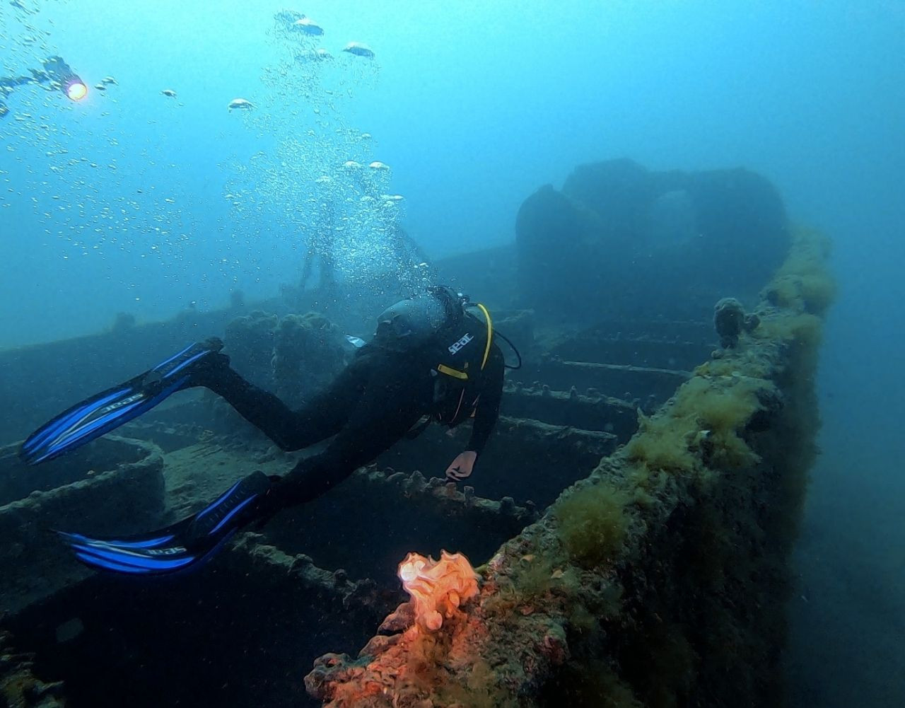 Bakan Ersoy’dan tarihi Lundy batığına anı dalışı - Sayfa 6