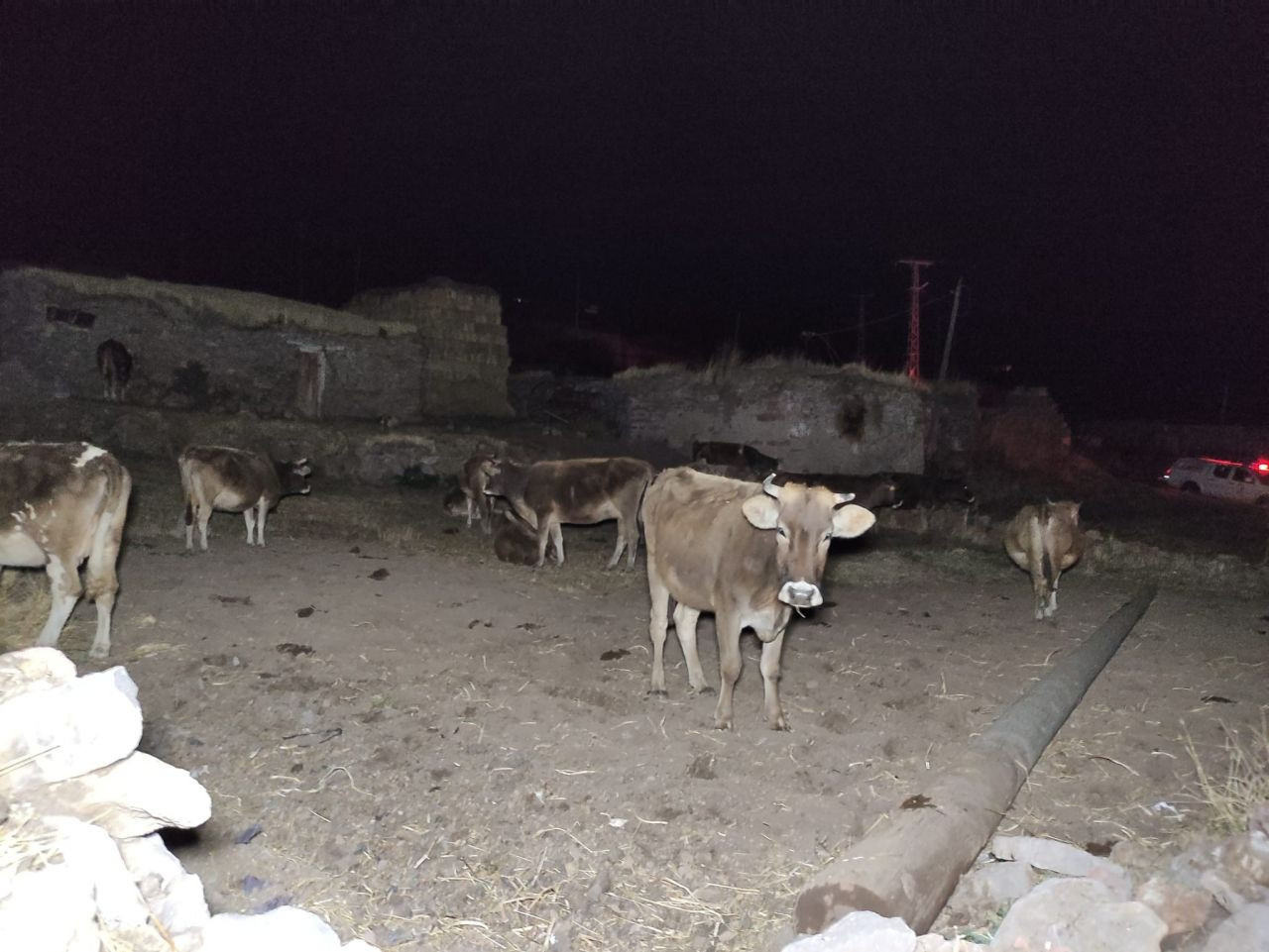 Göle’de deprem paniği: Vatandaşlar geceyi sokakta geçirdi - Sayfa 6