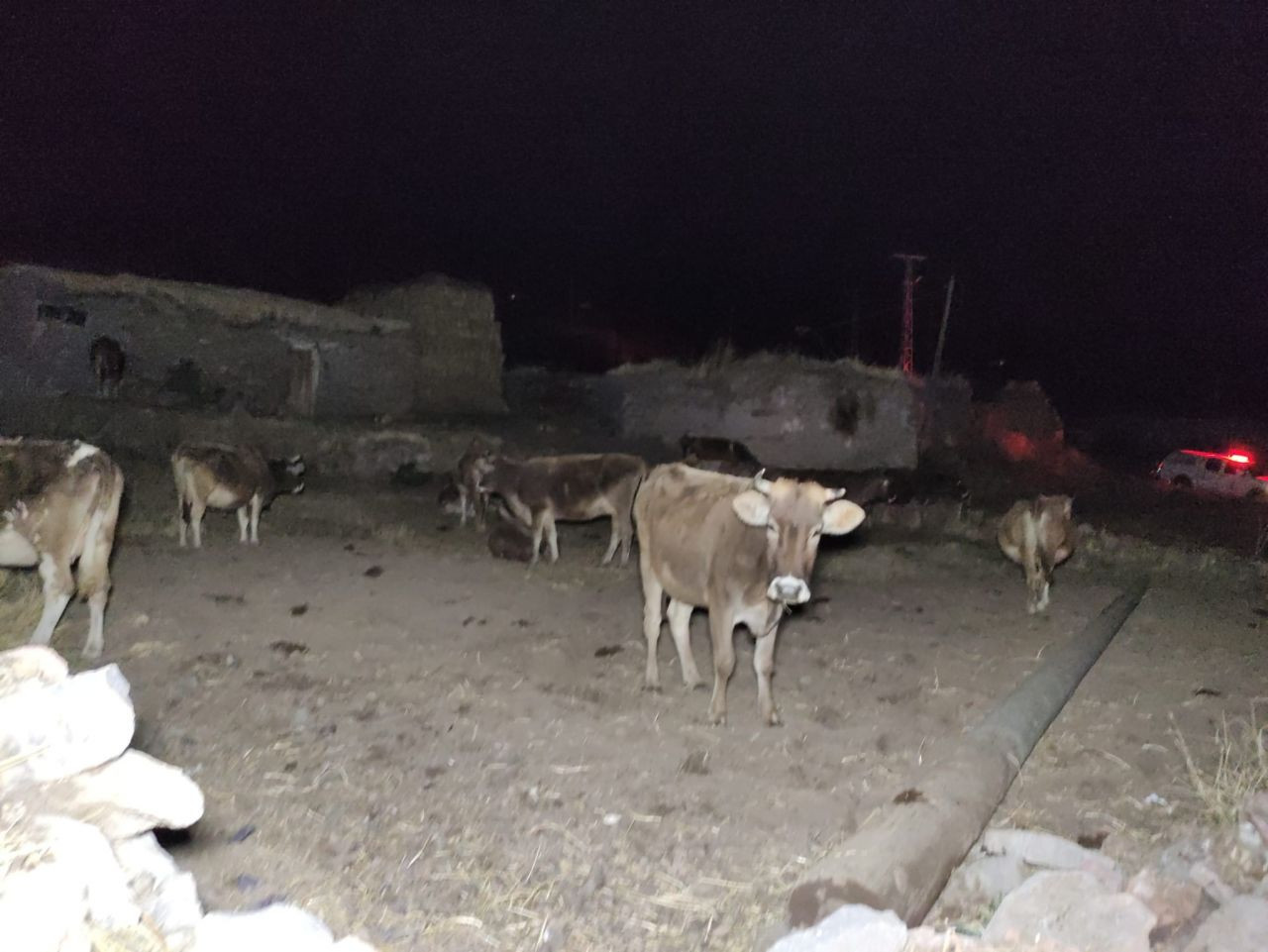 Göle’de deprem paniği: Vatandaşlar geceyi sokakta geçirdi - Sayfa 7