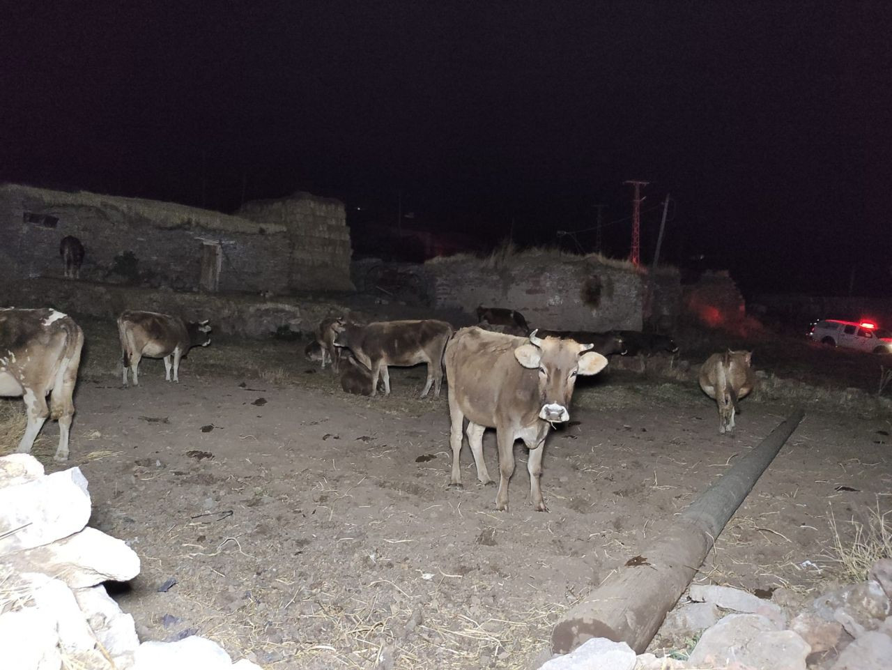 Göle’de deprem paniği: Vatandaşlar geceyi sokakta geçirdi - Sayfa 9