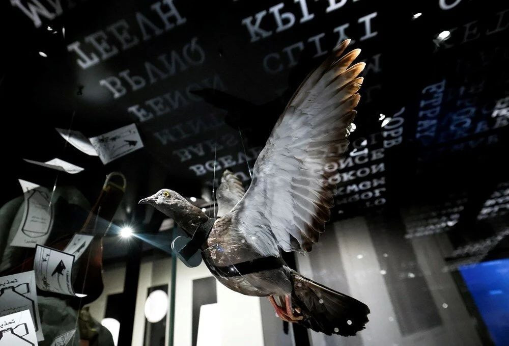 Dünyanın en sıradışı müzesi! CIA'in gizli operasyonları sergileniyor... Kapısı ilk kez açıldı! - Sayfa 13