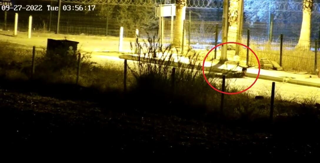 Polisevi saldırısında yaralanan polis konuştu - Sayfa 9