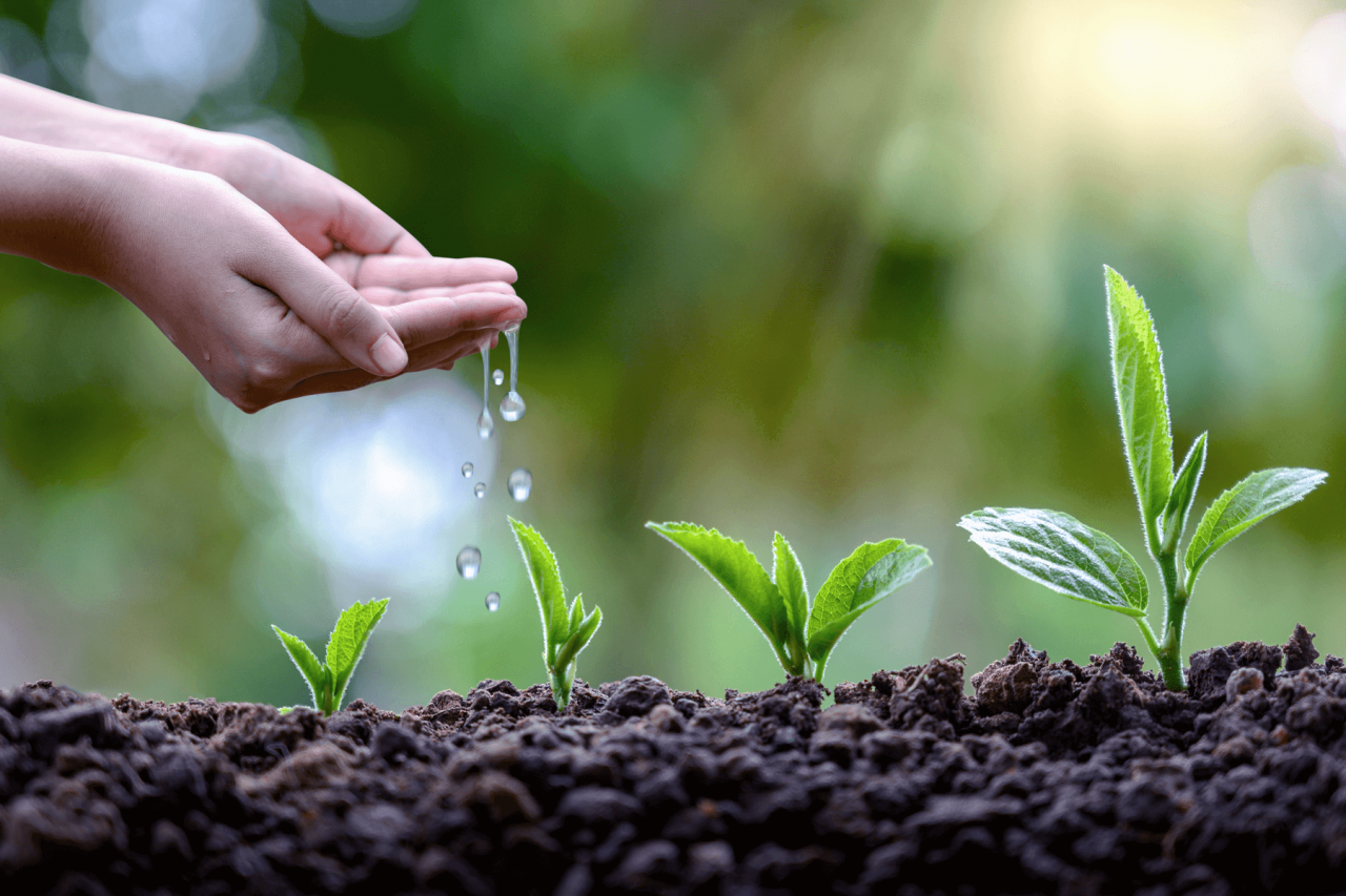 'Sürdürülebilir İş Ödülleri'nde 9. yılın finalistleri açıklandı. - Sayfa 14