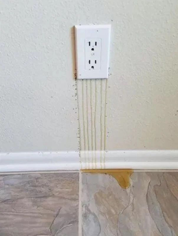 İnsanda şok etkisi yaratan doğada kaydedilmiş ürpertici fotoğraflar! - Sayfa 12