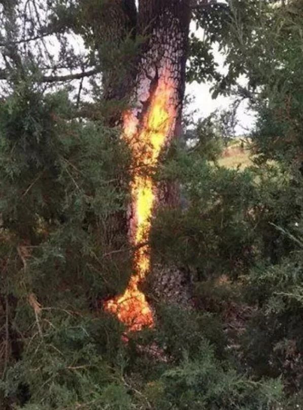 İnsanda şok etkisi yaratan doğada kaydedilmiş ürpertici fotoğraflar! - Sayfa 14