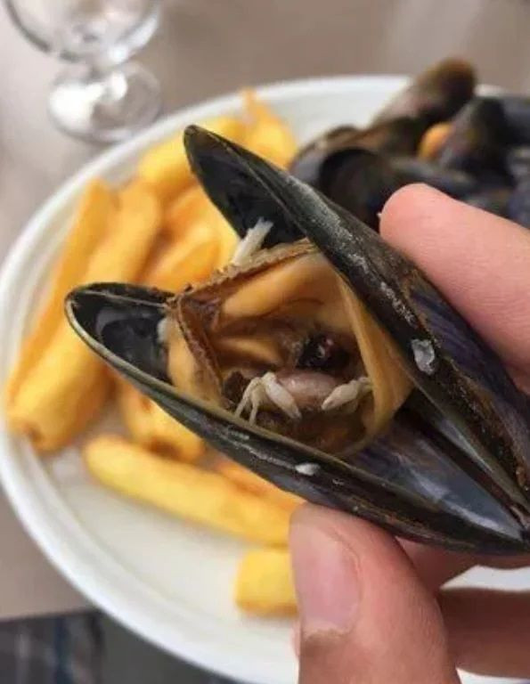 İnsanda şok etkisi yaratan doğada kaydedilmiş ürpertici fotoğraflar! - Sayfa 13