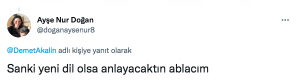Takipçilerine 'Yalı Çapkını' dizisinin sonunu soran Demet Akalın alay konusu oldu - Sayfa 7