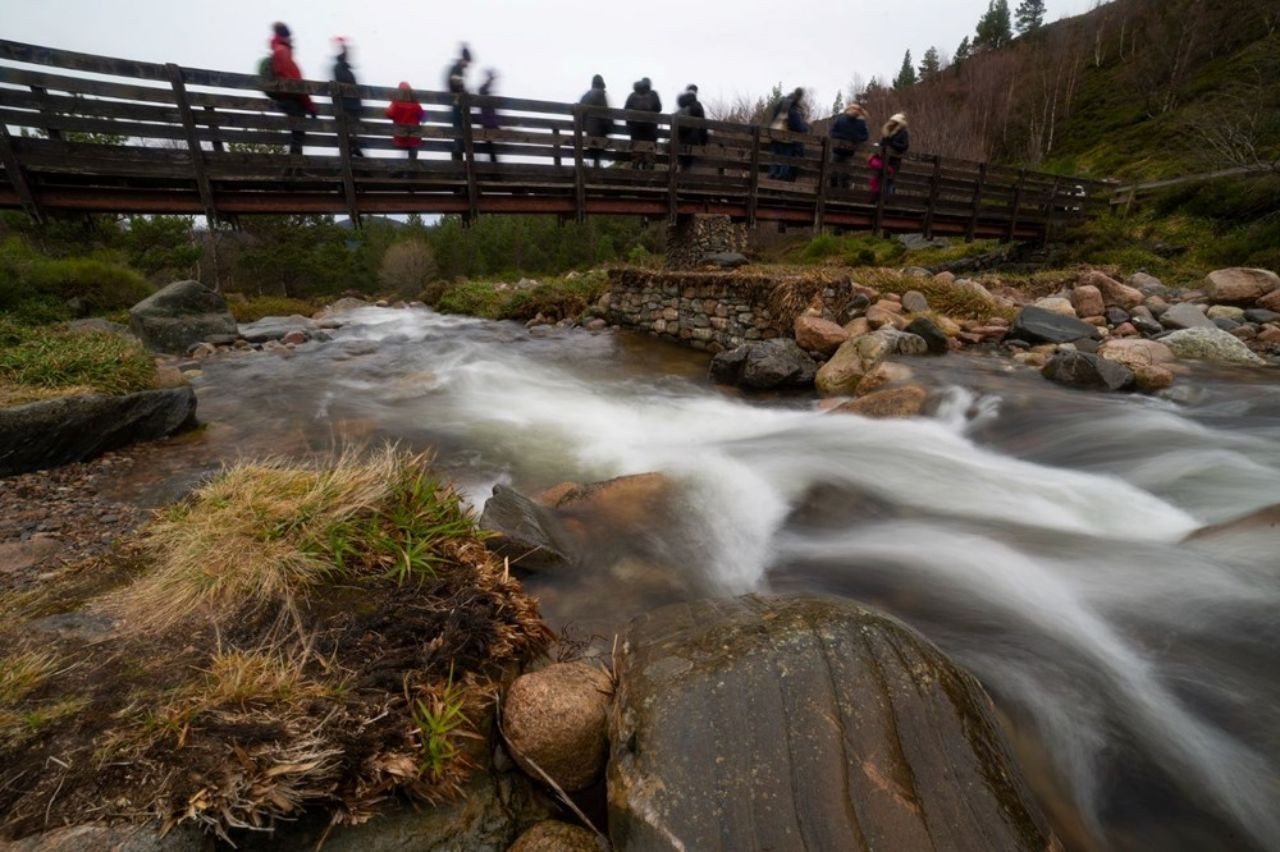 Avrupa’da gezilecek en iyi rotalar seçildi! Türkiye’den de bir rota listede - Sayfa 17