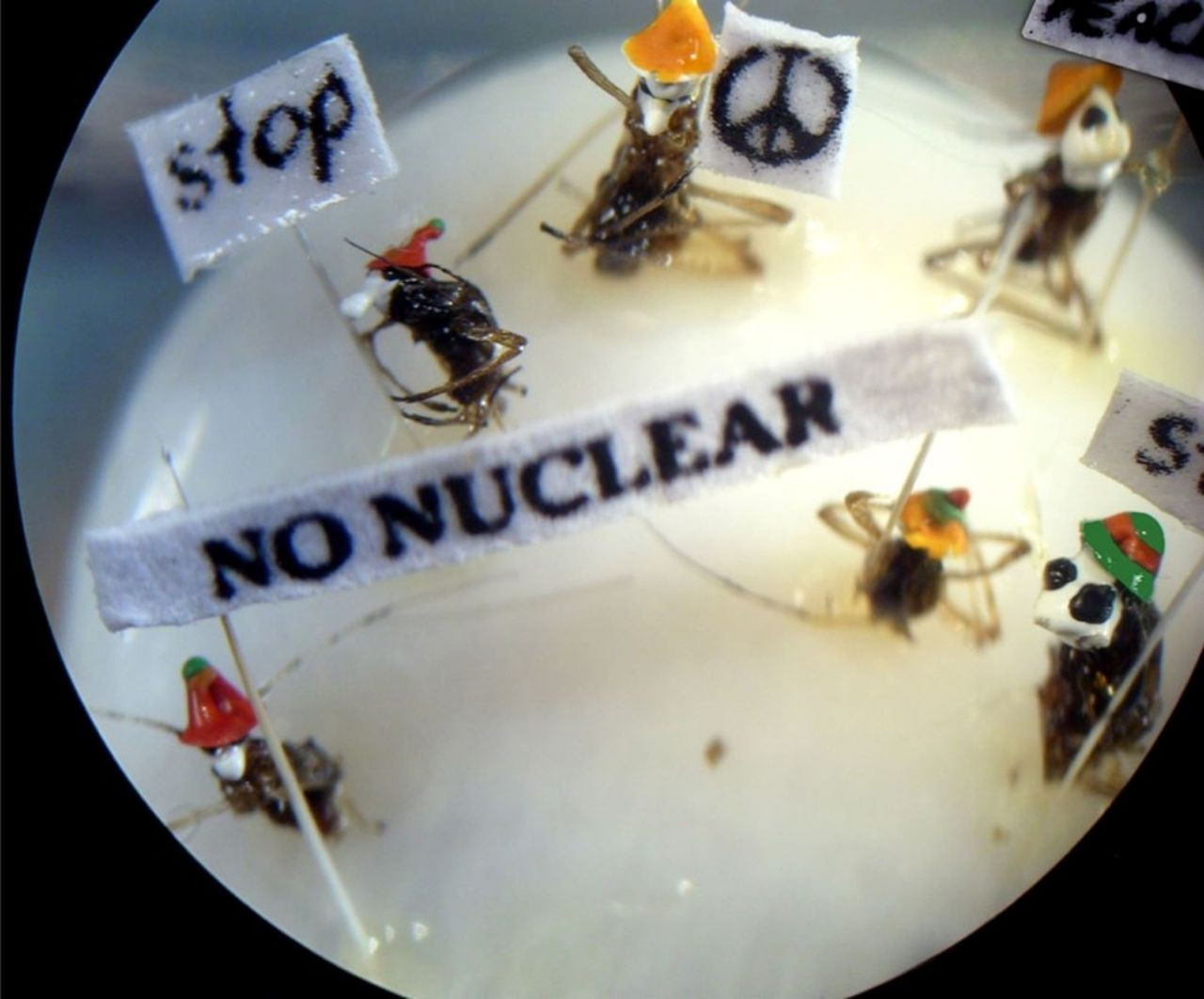 Kuşadası Mikro Minyatür Müzesi dünyanın en küçük eserlerine ev sahipliği yapıyor - Sayfa 5