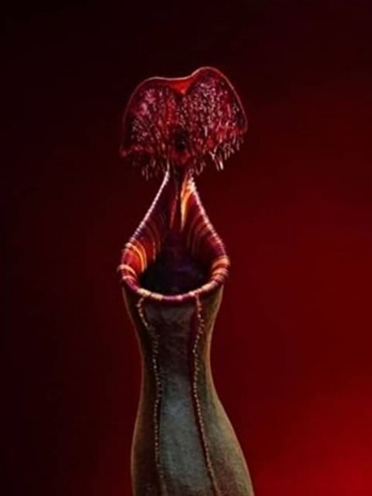 Limon sanıp bahçesine diktiği parmak meyve, şifa deposu çıktı! İşte dünyanın en tuhaf bitki ve meyveleri - Sayfa 16