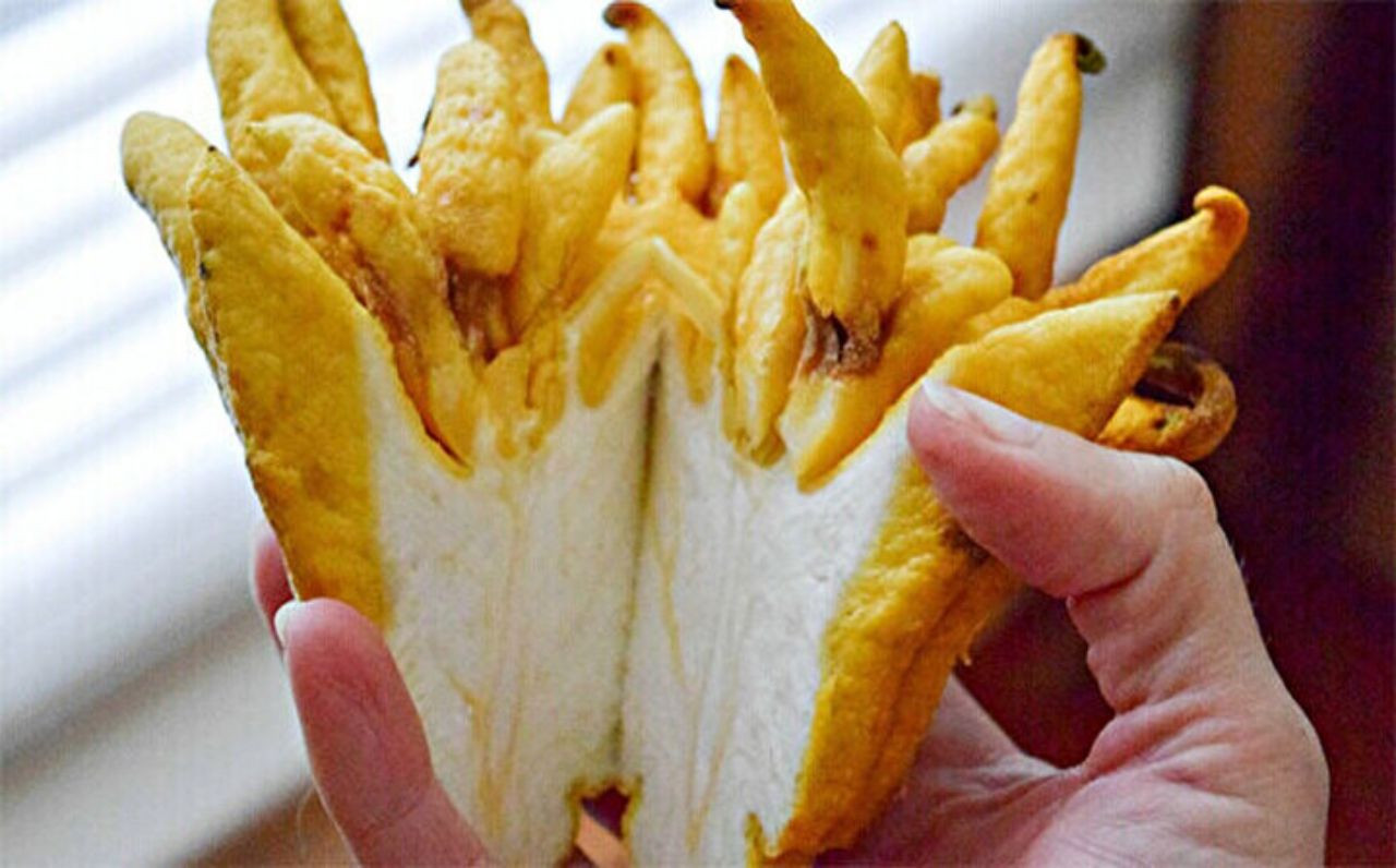 Limon sanıp bahçesine diktiği parmak meyve, şifa deposu çıktı! İşte dünyanın en tuhaf bitki ve meyveleri - Sayfa 7