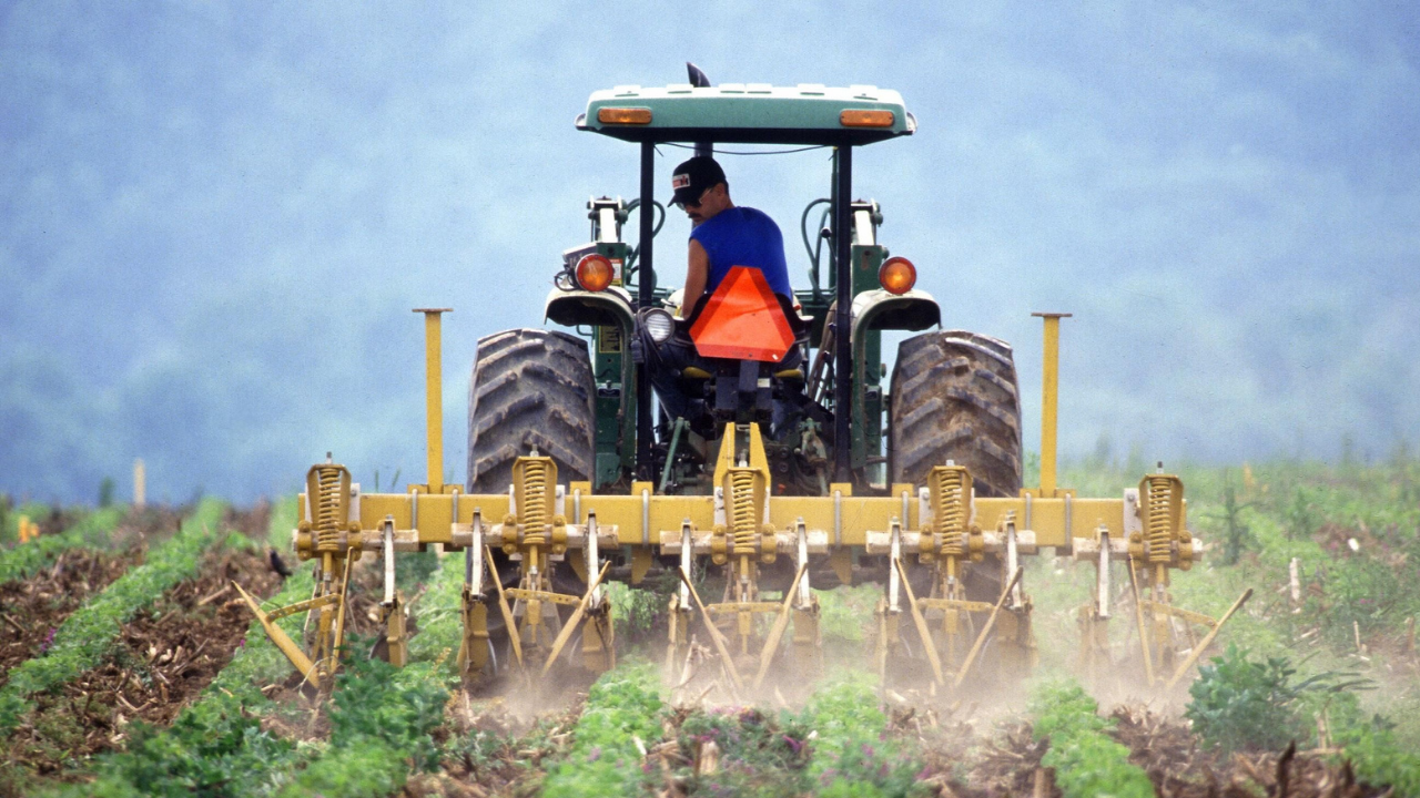 Ürünü üreten çiftçi değil, satan market kazandı - Sayfa 6