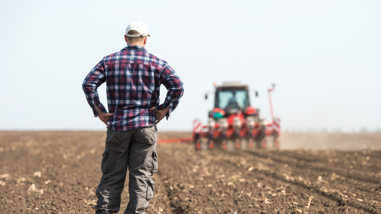 Ürünü üreten çiftçi değil, satan market kazandı - Sayfa 5
