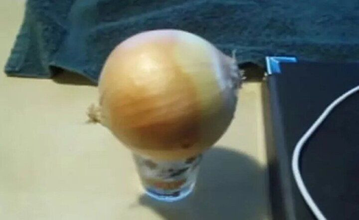 Bu deneyin sonucuna çok şaşıracaksınız! Soğan ile telefon şarj etti - Sayfa 15