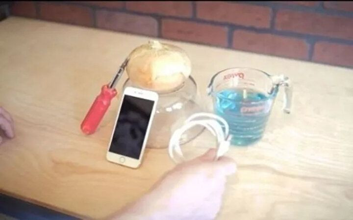 Bu deneyin sonucuna çok şaşıracaksınız! Soğan ile telefon şarj etti - Sayfa 7